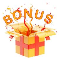 Bonus in the online casino